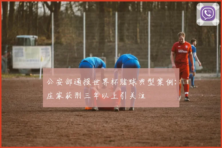 公安部通报世界杯赌球典型案例：庄家获刑三年以上引关注