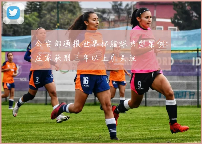 公安部通报世界杯赌球典型案例：庄家获刑三年以上引关注